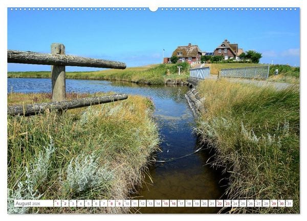 Produktbild: Sommertage auf Hallig Hooge (hochwertiger Premium Wandkalender 2026 DIN A2 quer), Kunstdruck in Hochglanz