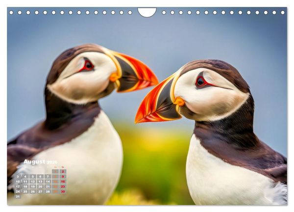 Produktbild: Tieftaucher Papageitaucher (Wandkalender 2026 DIN A4 quer), CALVENDO Monatskalender