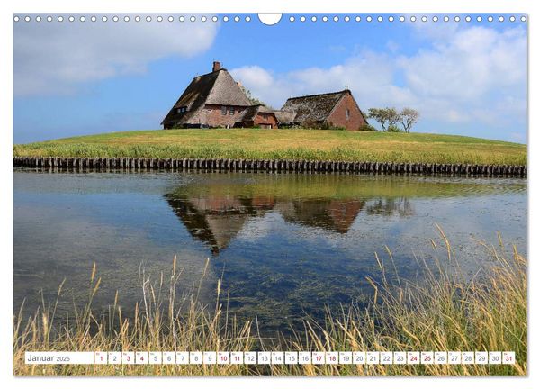 Produktbild: Sommertage auf Hallig Hooge (Wandkalender 2026 DIN A3 quer), CALVENDO Monatskalender