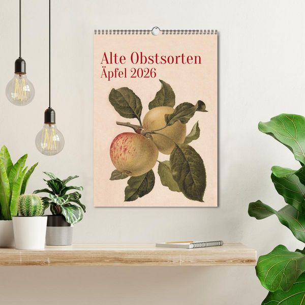 Produktbild: Alte Obstsorten - &Auml;pfel 2026 (Wandkalender 2026 DIN A3 hoch), CALVENDO Monatskalender