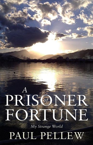 Produktbild: Prisoner of Fortune