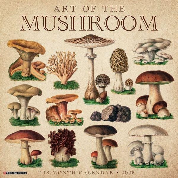 Produktbild: Art of the Mushroom 2026 Wall Calendar