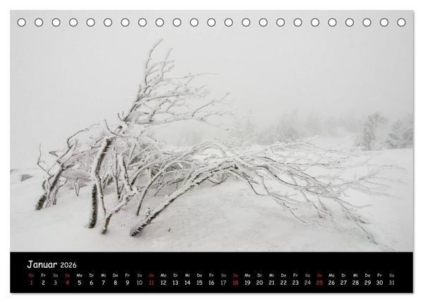 Produktbild: Faszination Harz 2026 (Tischkalender 2026 DIN A5 quer), CALVENDO Monatskalender