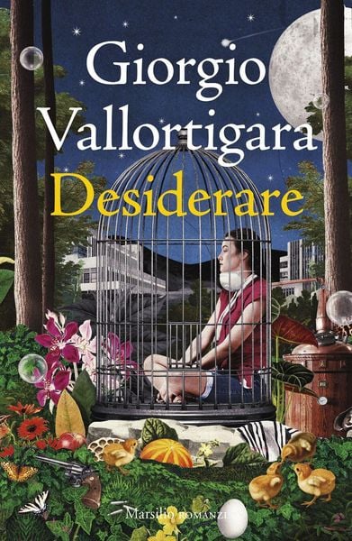 Produktbild: Desiderare