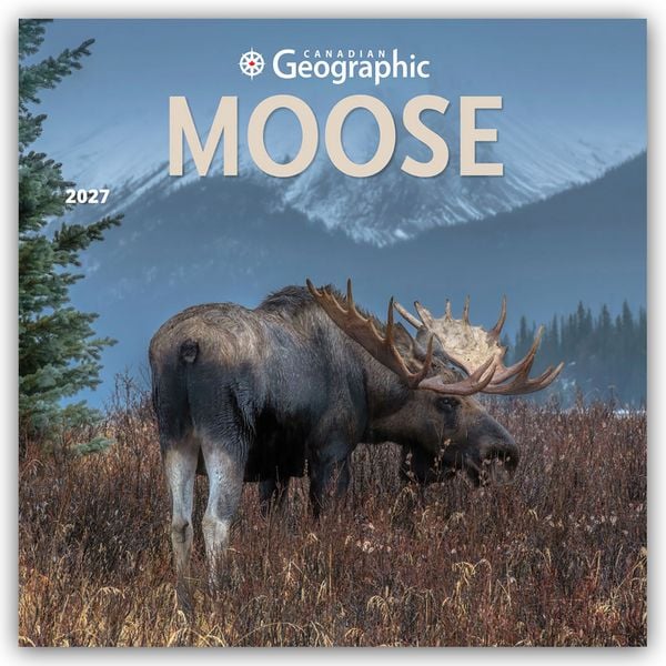 Produktbild: Moose &ndash; Elche 2027 &ndash; 16-Monatskalender