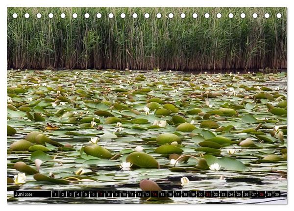 Produktbild: Mecklenburgische Seenplatte - zum Tr&auml;umen sch&ouml;n (Tischkalender 2026 DIN A5 quer), CALVENDO Monatskalender