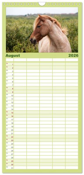 Produktbild: Familienplaner 2026 - Charakterk&ouml;pfe Islandpferde mit 5 Spalten (Wandkalender, 21 x 45 cm) CALVENDO