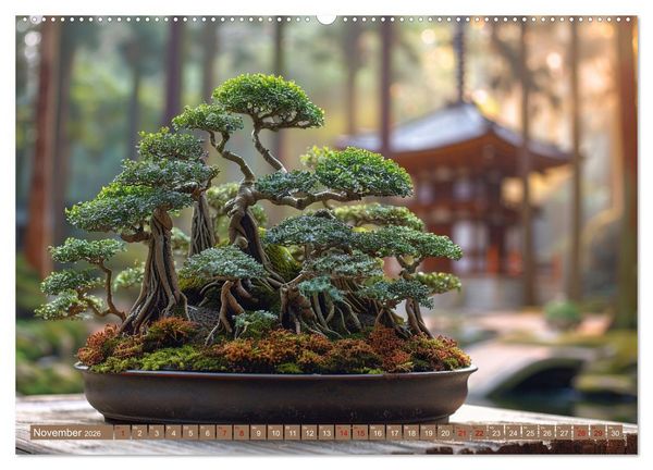 Produktbild: Bonsai meditativ (hochwertiger Premium Wandkalender 2026 DIN A2 quer), Kunstdruck in Hochglanz