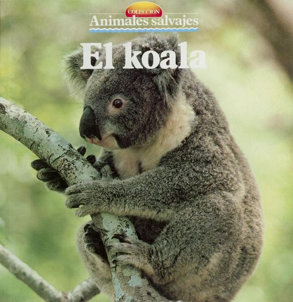 Produktbild: El koala