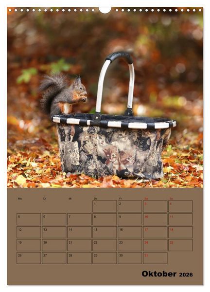 Produktbild: Eichh&ouml;rnchen - Planer (Wandkalender 2026 DIN A3 hoch), CALVENDO Monatskalender