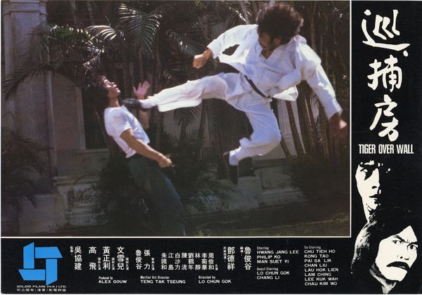 Produktbild: Die Rache des Kung Fu Tigers - Limitiert auf 1000 St&uuml;ck (Asia Line Vol. 39) (OmU)