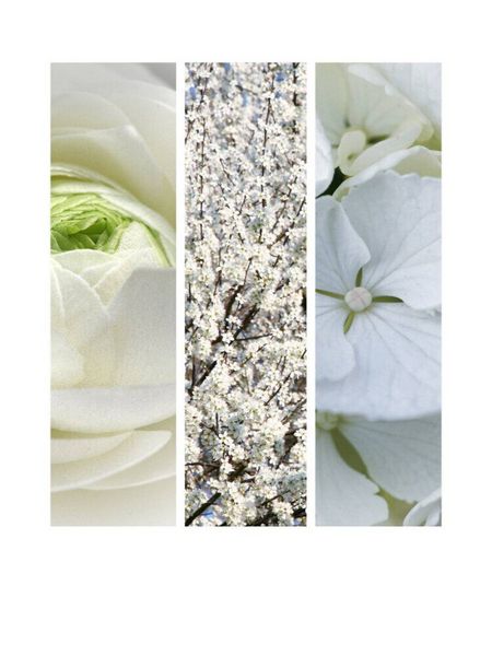 Produktbild: CALVENDO Puzzle Natural Trios - Wei&szlig;e Bl&uuml;ten | 1000 Teile Lege-Gr&ouml;&szlig;e 64x48cm Foto-Puzzle f&uuml;r gl&uuml;ckliche Stunden