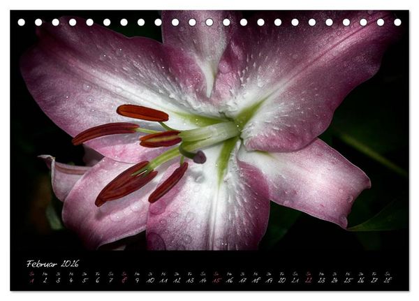 Produktbild: Floral Portraits - Blumen Impression (Tischkalender 2026 DIN A5 quer), CALVENDO Monatskalender