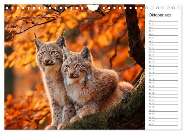 Produktbild: Waldgefl&uuml;ster (Wandkalender 2026 DIN A4 quer), CALVENDO Monatskalender