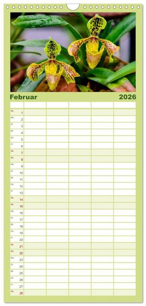 Produktbild: Familienplaner 2026 - Wunderbare Orchideen mit 5 Spalten (Wandkalender, 21 x 45 cm) CALVENDO