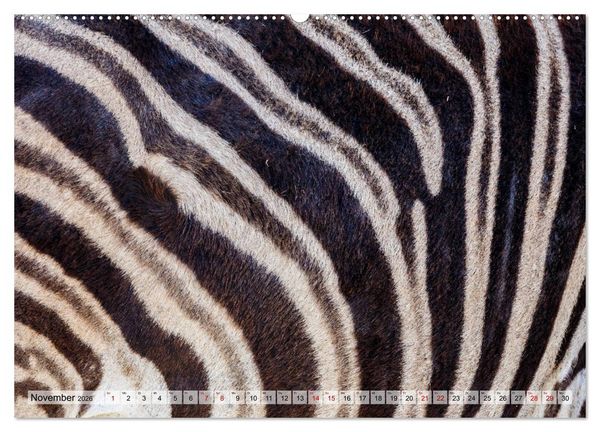 Produktbild: S&uuml;dafrika: Kapstadt, Garden Route und Cape Winelands (hochwertiger Premium Wandkalender 2026 DIN A2 quer), Kunstdruck in Hochglanz