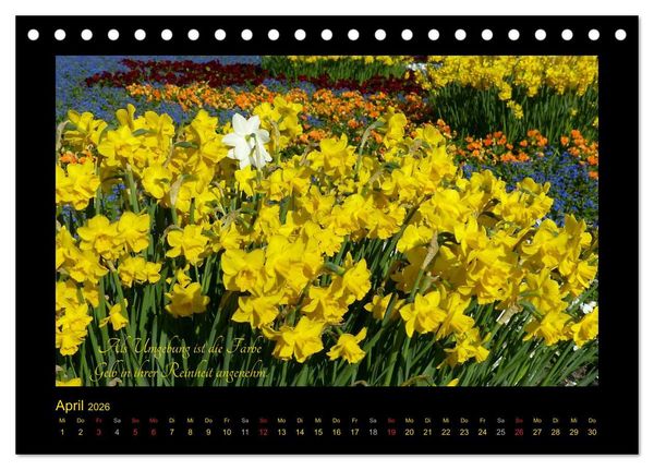 Produktbild: Goethes Gelb Gedanken zur Farbe (Tischkalender 2026 DIN A5 quer), CALVENDO Monatskalender