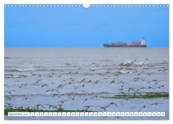 Produktbild: Schillig und Horumersiel - Im Wangerland unterwegs (Wandkalender 2026 DIN A3 quer), CALVENDO Monatskalender