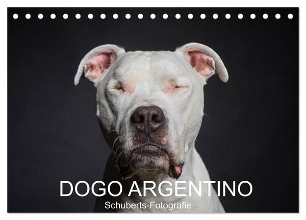 Produktbild: DOGO ARGENTINO (Tischkalender 2026 DIN A5 quer), CALVENDO Monatskalender