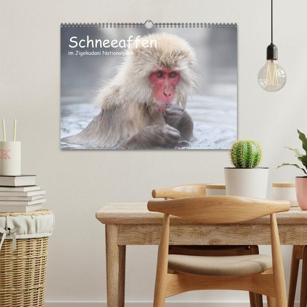 Produktbild: Schneeaffen im Jigokudani Nationalpark (Wandkalender 2026 DIN A3 quer), CALVENDO Monatskalender