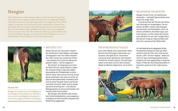 Produktbild: Pferde verstehen, erziehen und reiten
