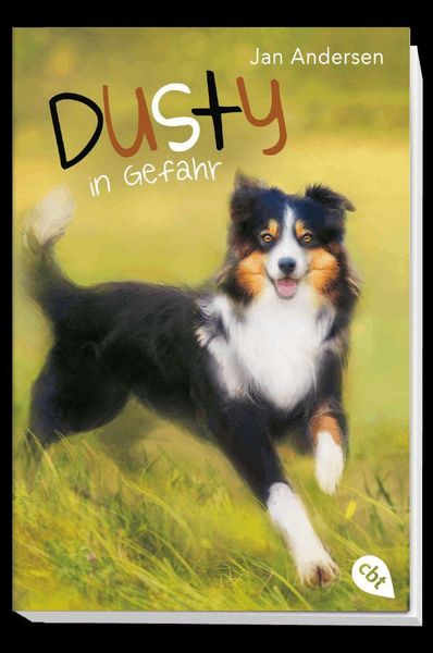 Produktbild: Dusty in Gefahr