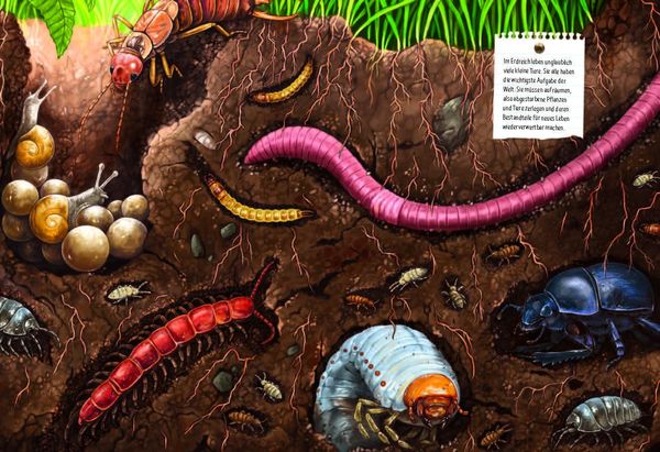 Produktbild: Verborgene Welt des Mikrokosmos