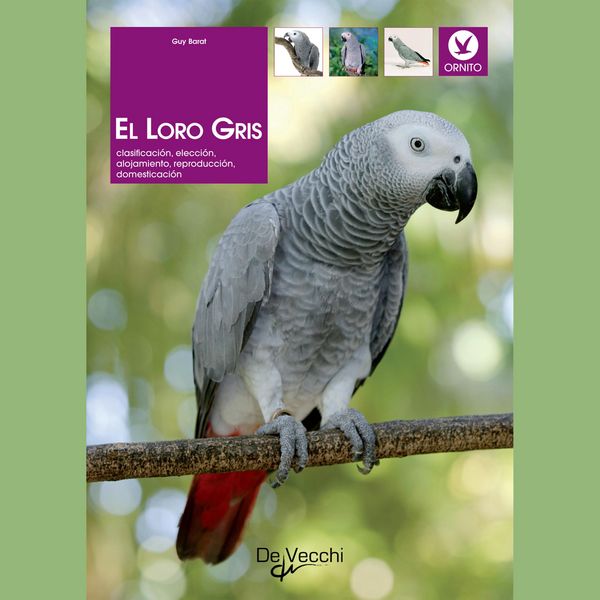 Produktbild: El loro gris