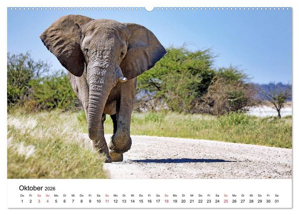 Produktbild: Namibias Elefanten (hochwertiger Premium Wandkalender 2026 DIN A2 quer), Kunstdruck in Hochglanz