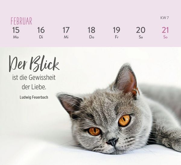 Produktbild: Mini-Wochenkalender 2027: F&uuml;r Katzenfreunde