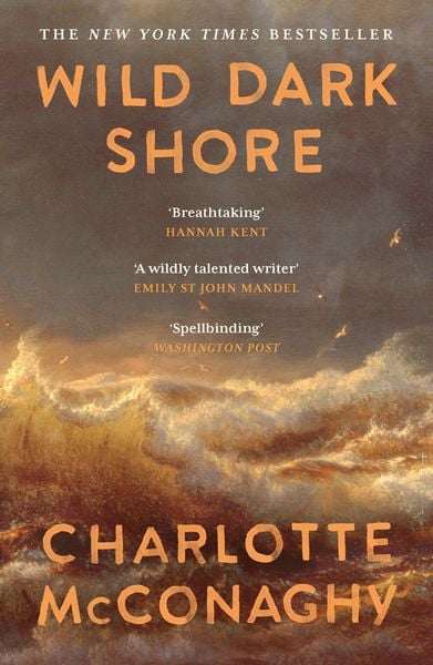 Produktbild: Wild Dark Shore