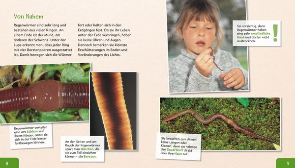Produktbild: Meine gro&szlig;e Tierbibliothek: Der Regenwurm