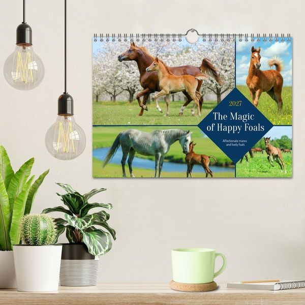 Produktbild: The Magic of Happy Foals (Wall Calendar 2027 DIN A4 landscape), CALVENDO 12 Month Wall Calendar