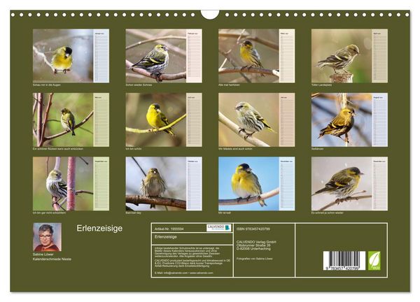 Produktbild: Erlenzeisige (Wandkalender 2026 DIN A3 quer), CALVENDO Monatskalender