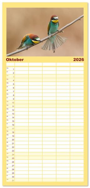 Produktbild: Familienplaner 2026 - Bunte Flieger mit 5 Spalten (Wandkalender, 21 x 45 cm) CALVENDO