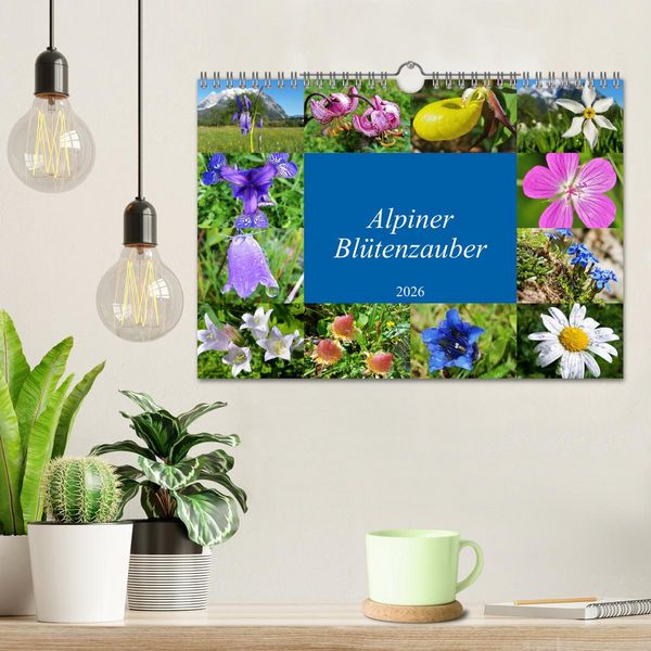 Produktbild: Alpiner Bl&uuml;tenzauber (Wandkalender 2026 DIN A4 quer), CALVENDO Monatskalender