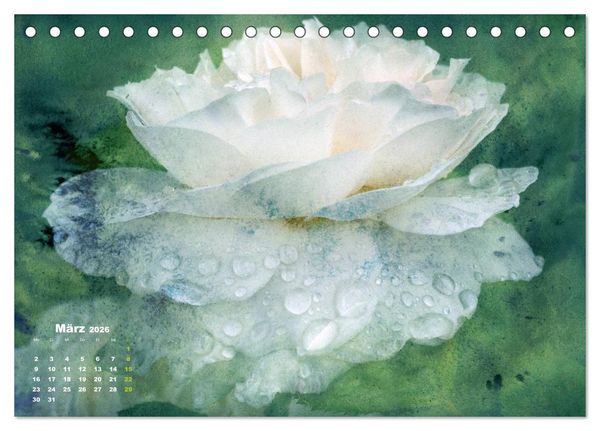 Produktbild: Rosen Romantik (Tischkalender 2026 DIN A5 quer), CALVENDO Monatskalender