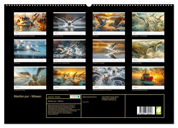 Produktbild: Maritim pur - M&ouml;wen (hochwertiger Premium Wandkalender 2026 DIN A2 quer), Kunstdruck in Hochglanz