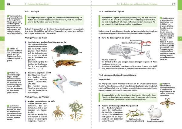 Produktbild: Basiswissen Schule &ndash; Biologie 5. bis 10. Klasse