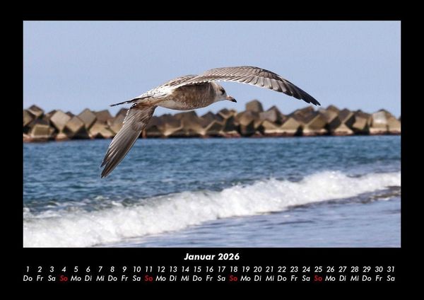 Produktbild: Meereslandschaft 2026 Fotokalender DIN A3