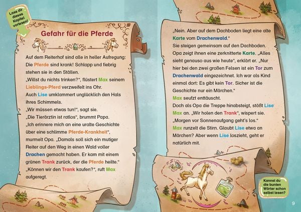 Produktbild: Der geheime Drachenwald