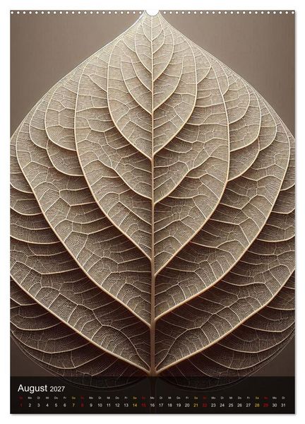 Produktbild: Geometrie der Natur &ndash; Formen, Muster, Strukturen (Wandkalender 2027 DIN A2 hoch), CALVENDO Monatskalender