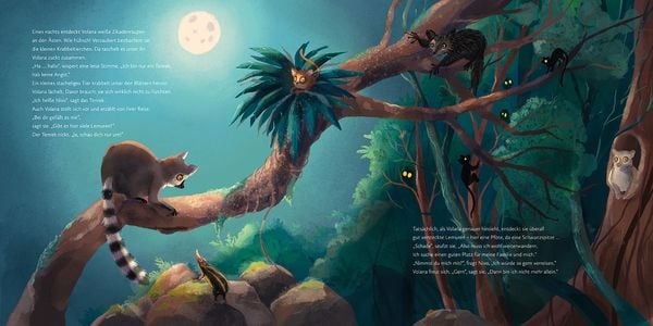 Produktbild: Volanas Madagaskar-Abenteuer