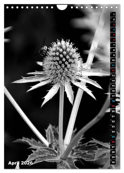 Produktbild: Blumige Graustufen - Schwarz und Wei&szlig; (Wandkalender 2026 DIN A4 hoch), CALVENDO Monatskalender