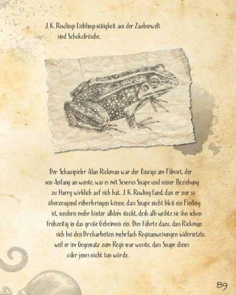 Produktbild: Insiderwissen f&uuml;r Harry Potter Fans