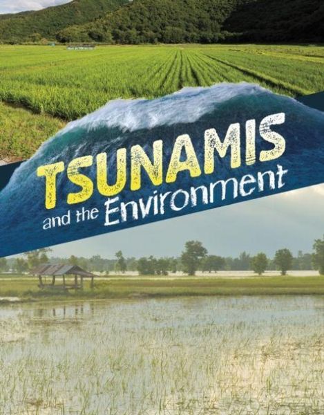Produktbild: Tsunamis and the Environment