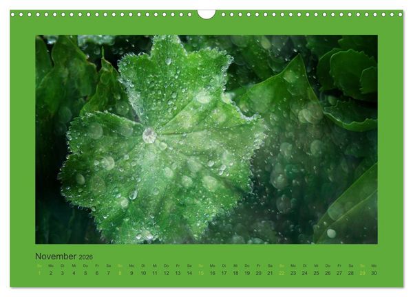 Produktbild: 12 Farben (Wandkalender 2026 DIN A3 quer), CALVENDO Monatskalender