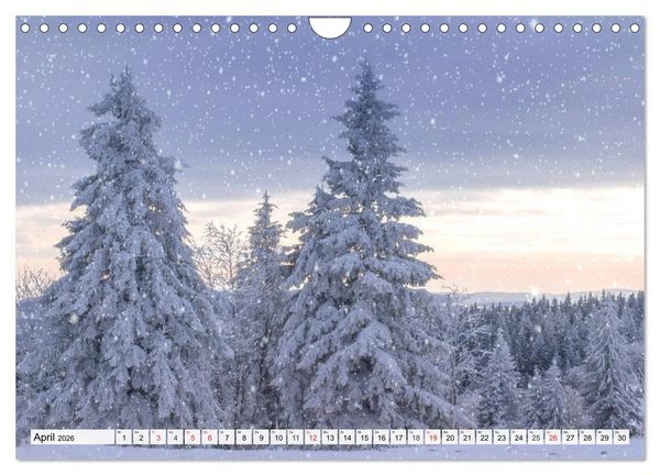 Produktbild: Eiszeit. Winter und Frost in der Natur (Wandkalender 2026 DIN A4 quer), CALVENDO Monatskalender