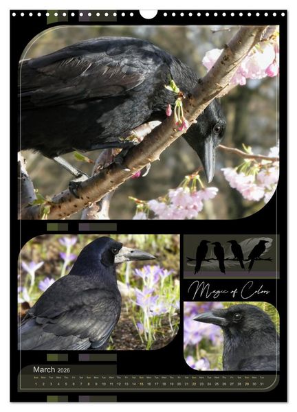 Produktbild: Crows - Through the Seasons (Wall Calendar 2026 DIN A3 portrait), CALVENDO 12 Month Wall Calendar