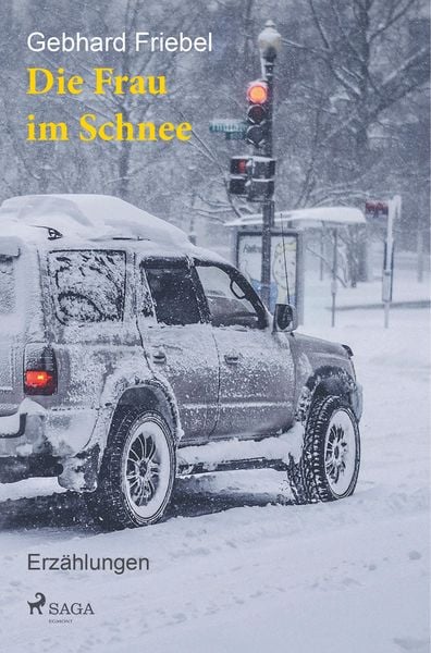 Produktbild: Die Frau im Schnee